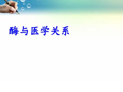 酶与医学关系