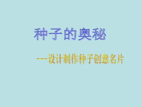 五年级下册综合实践活动课件-设计制作种子创意名片 全国通用  19张