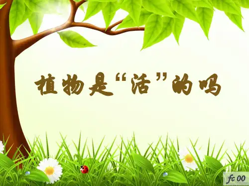 一年级上册科学课件-1.5植物是活的吗 (3) l  教科版 (共14张PPT)