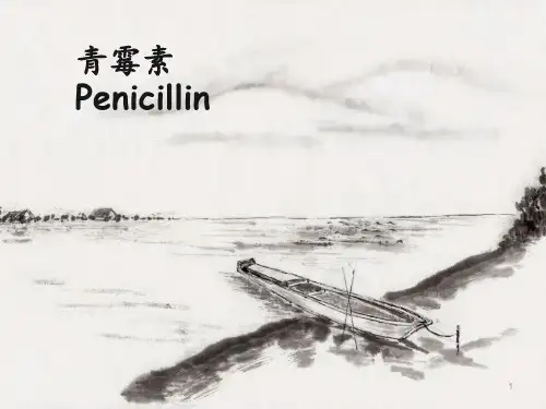 青霉素  ppt课件