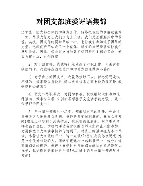 对团支部班委评语集锦