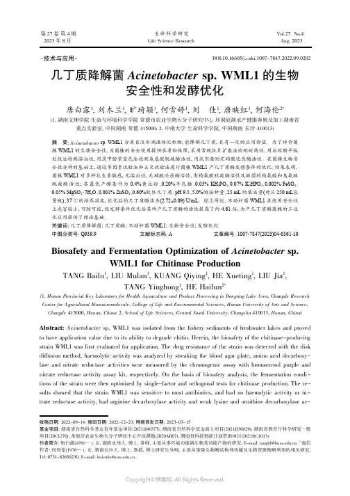几丁质降解菌Acinetobacter_sp._WML1_的生物安全性和发酵优化