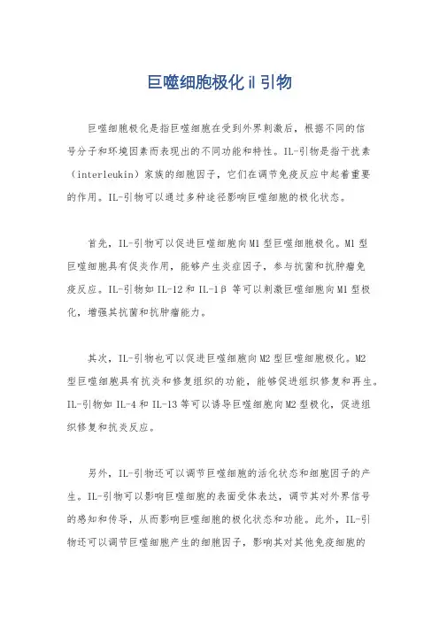 巨噬细胞极化 il 引物