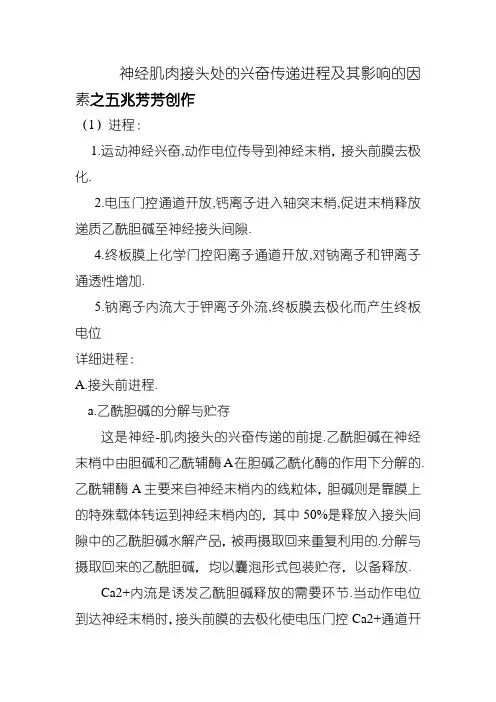 神经肌肉接头处的兴奋传递过程及其影响因素