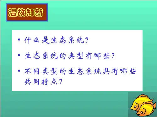 [人教版]《生态系统的结构》优质课件3