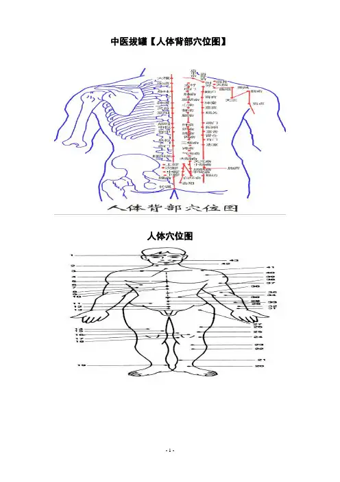 拔火罐_人体背部穴位图_中医疗法主病症和选穴