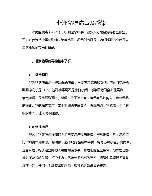 非洲猪瘟病毒及感染
