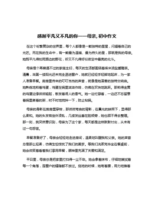 感谢平凡又不凡的你——母亲,初中作文