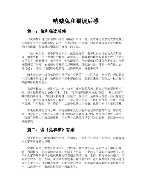呐喊兔和猫读后感