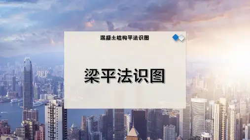 梁平法识图