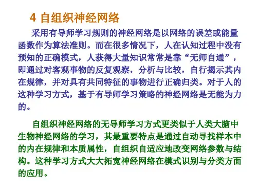自组织神经网络