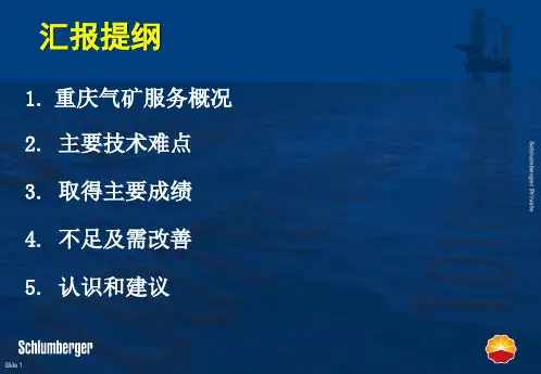 斯伦贝谢川东地区水平井汇报