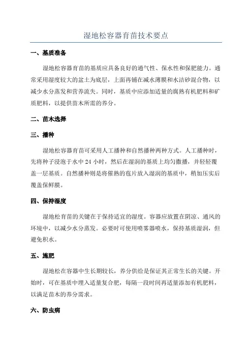 湿地松容器育苗技术要点