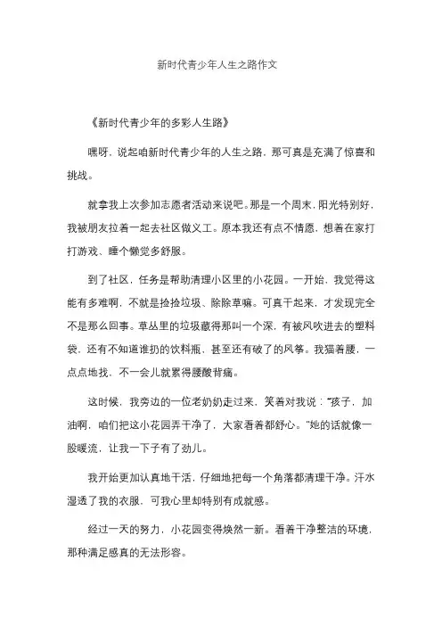 新时代青少年人生之路作文