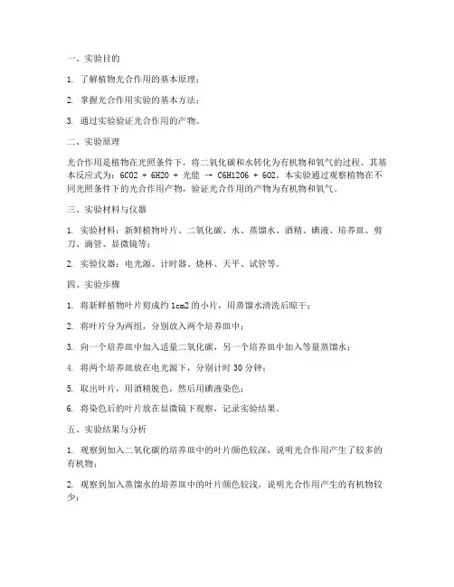 实验报告植物