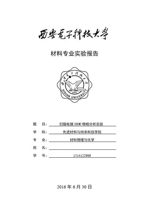 材料分析(SEM)实验报告