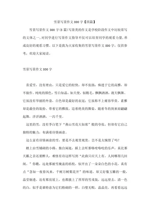 雪景写景作文800字【四篇】