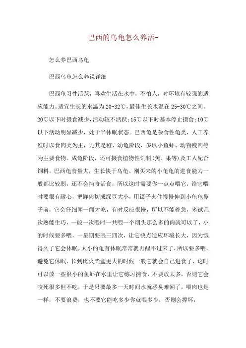 巴西的乌龟怎么养活--怎么养巴西乌龟