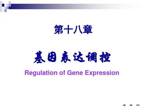 基因表达调控精选全文