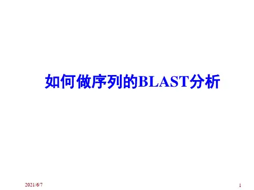 如何做序列的blast分析