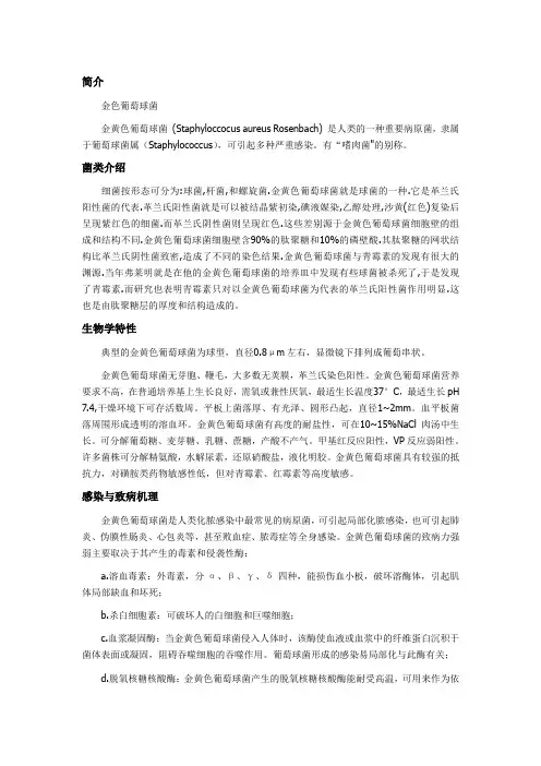 金色葡萄球菌介绍及图片范文