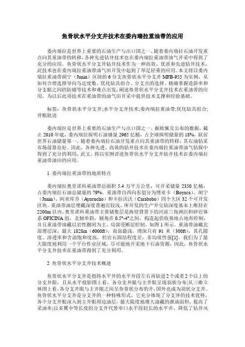 鱼骨状水平分支井技术在委内瑞拉重油带的应用