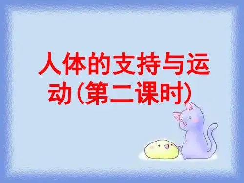 2023秋苏科版八上《人体的支持与运动》ppt