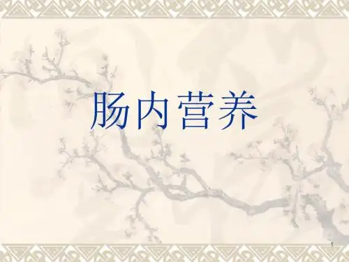 肠内营养ppt课件