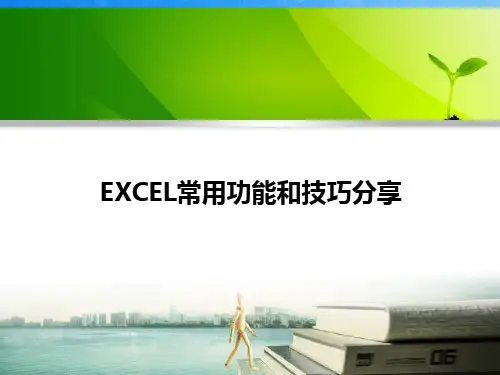 EXCEL常用功能和技巧分享ppt课件