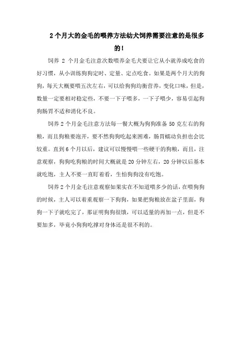 2个月大的金毛的喂养方法幼犬饲养需要注意的是很多的!