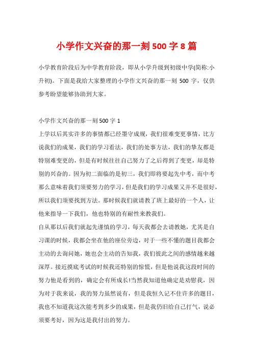 小学作文兴奋的那一刻500字8篇