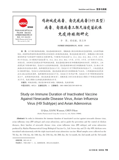 鸡新城疫病毒、禽流感病毒(H9亚型)病毒、禽腺病毒三联灭活疫苗抗体免疫持续期研究