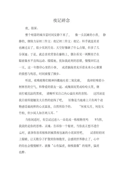 以《夜》为话题的初三满分作文3篇