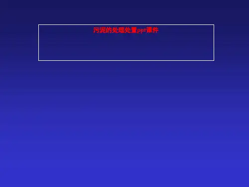 污泥的处理处置ppt课件