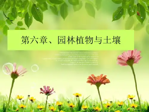 园林植物与土壤(教学课件)