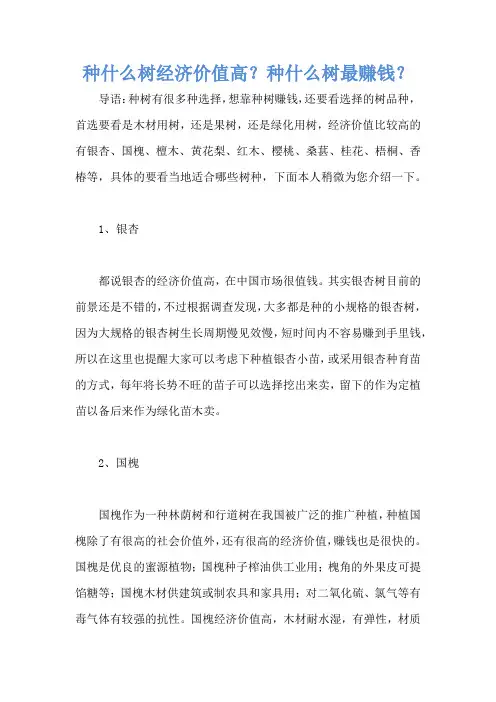 种什么树经济价值高？种什么树最赚钱？