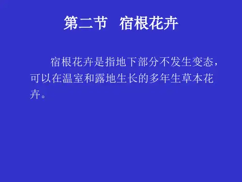 花卉学课件2