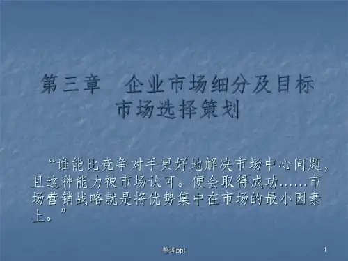 市场细分及目标市场选择策划(1)