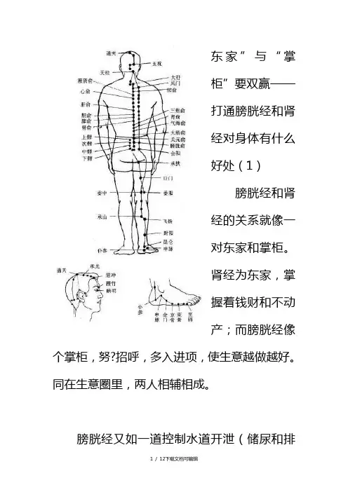 膀胱经