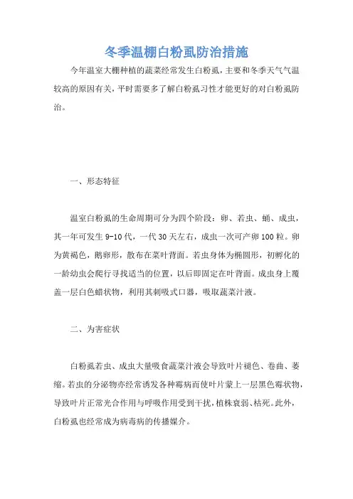 冬季温棚白粉虱防治措施