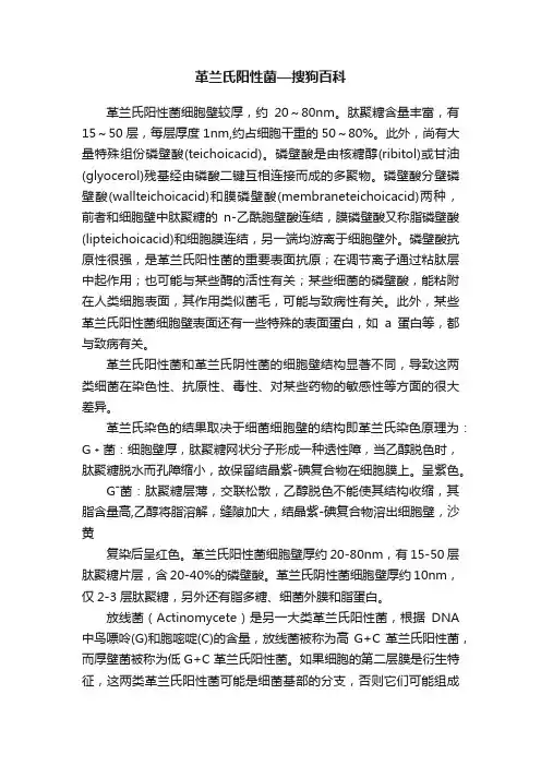 革兰氏阳性菌—搜狗百科