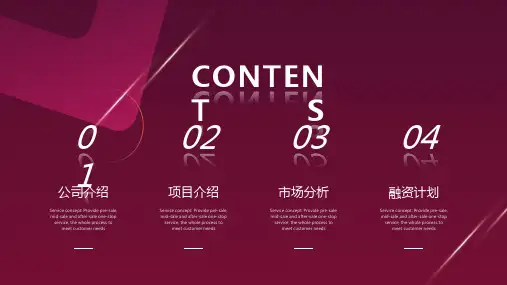 商务风创业融资计划书PPT模板