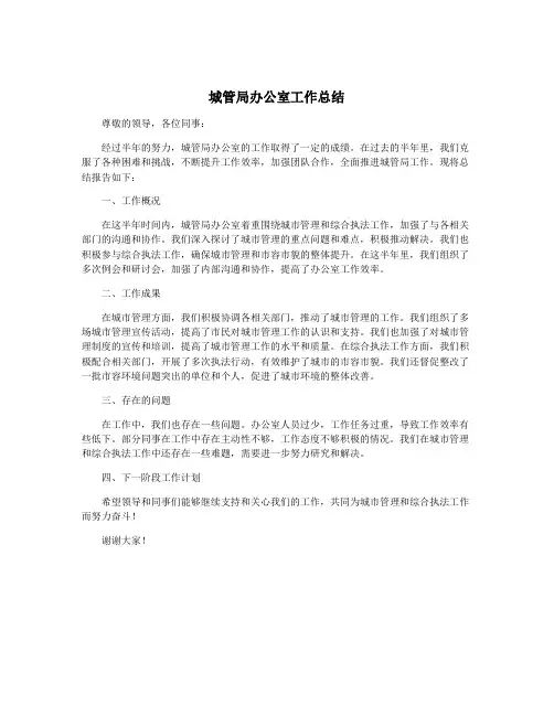 城管局办公室工作总结