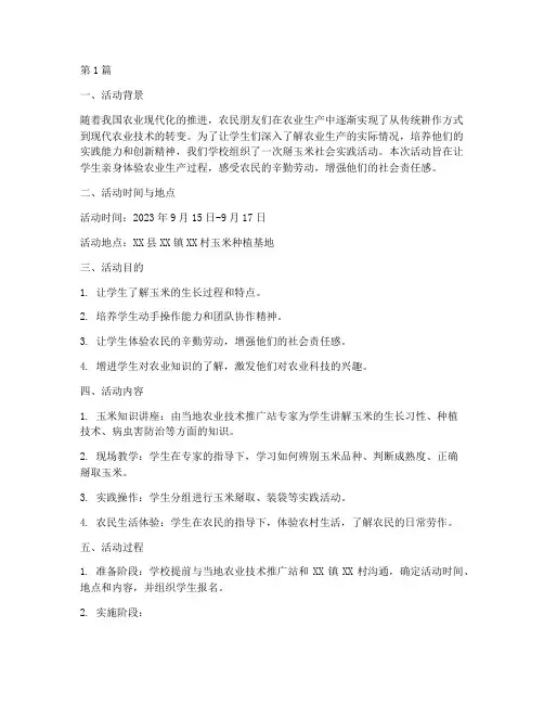 掰玉米社会实践活动总结(3篇)