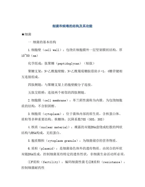 细菌和病毒的结构及其功能