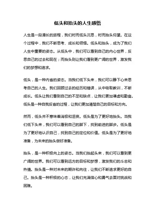 低头和抬头的人生感悟