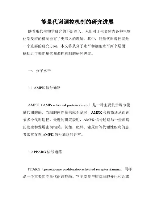 能量代谢调控机制的研究进展