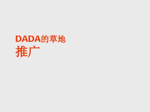DADA的草地推广策略案