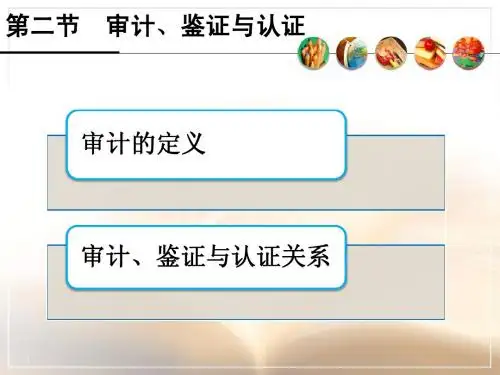 《审计学》定1第三版_第一章_审计的基本概念