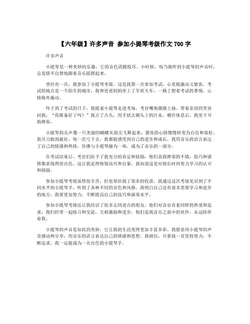 【六年级】许多声音 参加小提琴考级作文700字